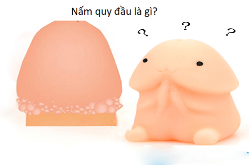 Nấm quy đầu